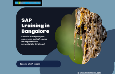 sap training in bangalore