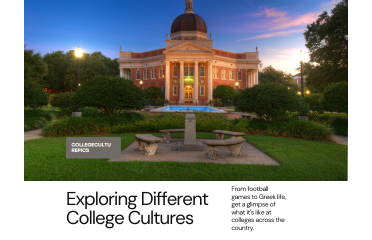 Different types of college cultures